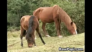 1989 latin porn videos